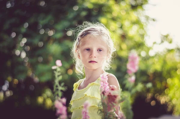 Criança Romântica Com Flores Rosa Retrato — Fotografia de Stock