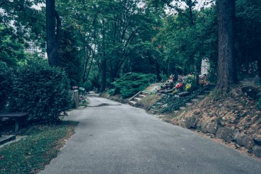 Renkli sonbaharda manzaralı mezarlıkta dramatik mezar taşları