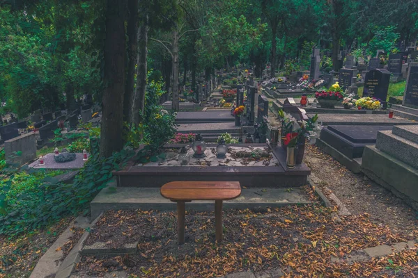 Lápidas Dramáticas Cementerio Escénico Otoño Colorido —  Fotos de Stock