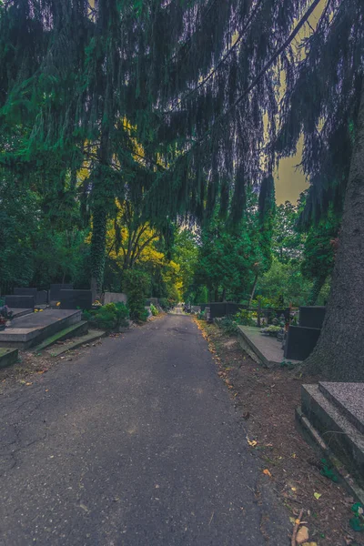 Rust Stilte Begraafplaats Tijdens Cristian Vakantie Kleurrijke Herfstseizoen — Stockfoto