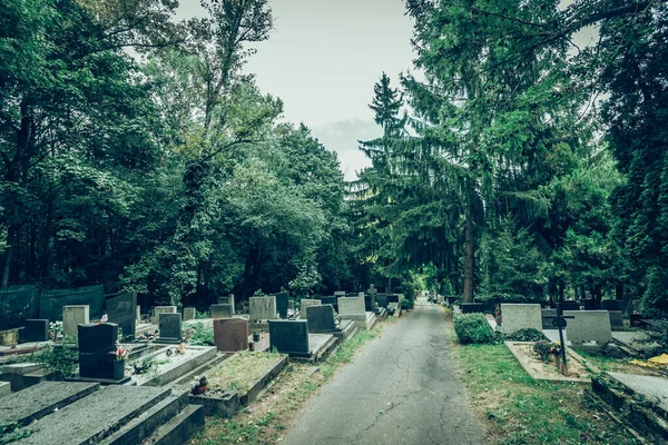 Ruhe Und Frieden Auf Dem Friedhof Während Der Weihnachtsfeiertage Der — Stockfoto