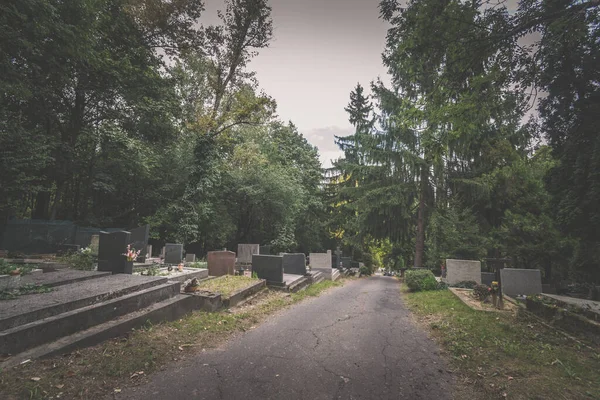 Paz Silêncio Cemitério Durante Férias Cristianas Temporada Outonal Colorido — Fotografia de Stock