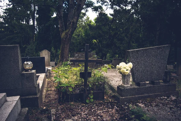 Klid Ticho Hřbitově Během Křišťálové Dovolené Pestré Podzimní Sezóně — Stock fotografie
