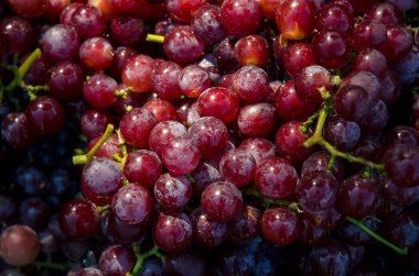 Kırmızı üzüm kümeleri detaylı arkaplan