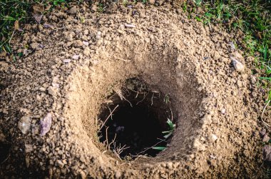 bahçe faaliyetleri için hazırlanmış çukur