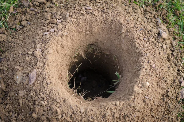 bahçe faaliyetleri için hazırlanmış çukur