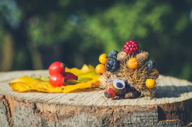 Parlak sonbahar renklerinde sonbahar tamirici meyveleri olan sevimli kirpi figürü.