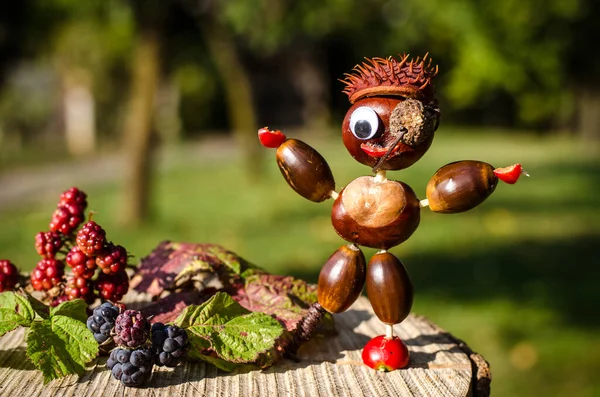 Cute Figure Pirate Chestnuts Vibrant Autumnal Colors — Stock Photo, Image