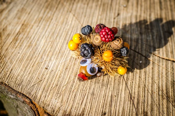 Niedliche Igelfigur Mit Herbstlich Gebastelten Früchten Leuchtenden Herbstfarben — Stockfoto