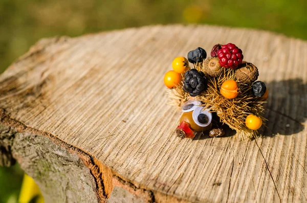 Schattig Egel Figuur Met Herfstvruchten Levendige Herfstkleuren Poseren Boomstam — Stockfoto