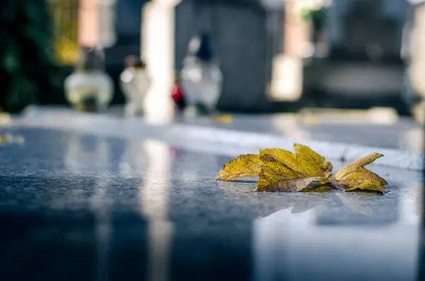 Leuchtende Herbstfarben Und Traurigkeit Der Saison — Stockfoto