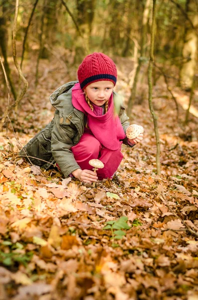 Kırmızı Şapkalı Gülen Tatlı Kız Sonbahar Ormanlarında Mantar Topluyor — Stok fotoğraf