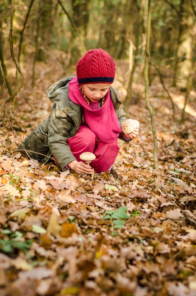 秋天的森林里 戴着红帽子采摘蘑菇的可爱的微笑的治愈少女 — 图库照片