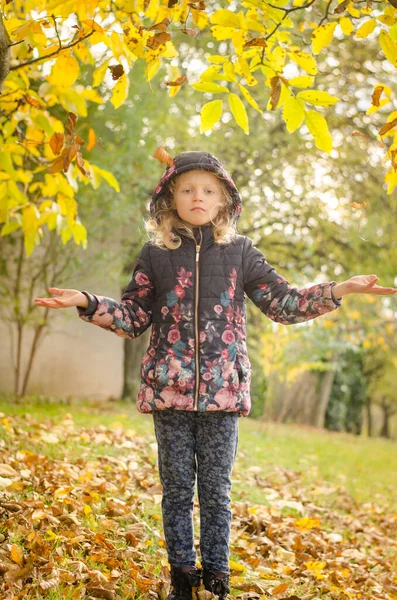 Цвет Осени Симпатичная Девушка Веселится Оранжевыми Листьями — стоковое фото