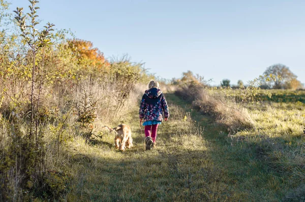 Gelukkige Zonnige Dag Het Platteland — Stockfoto