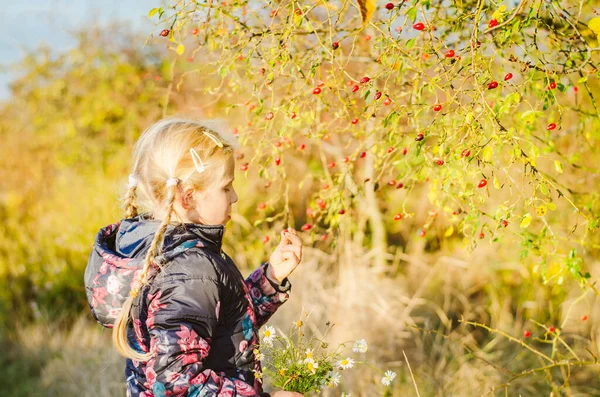 Renkli Kırsalda Güneşli Sonbahar Mevsiminde Bir Kız — Stok fotoğraf