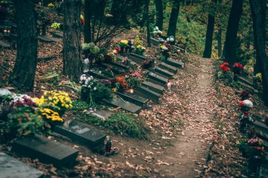 Mumlar yakmak, renkli çiçekler ve mezarlıktaki şenlikli süslemeler.