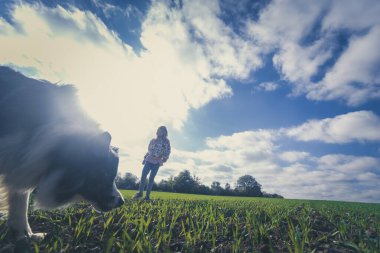 Sonbahar vakti bulutlu bir öğleden sonra rüzgarlı havada köpek eğiten bir kız.