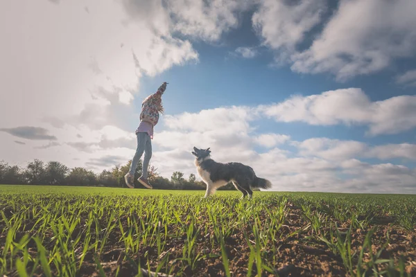 Chica Entrenando Perro Tiempo Ventoso Tarde Nublada Otoño —  Fotos de Stock