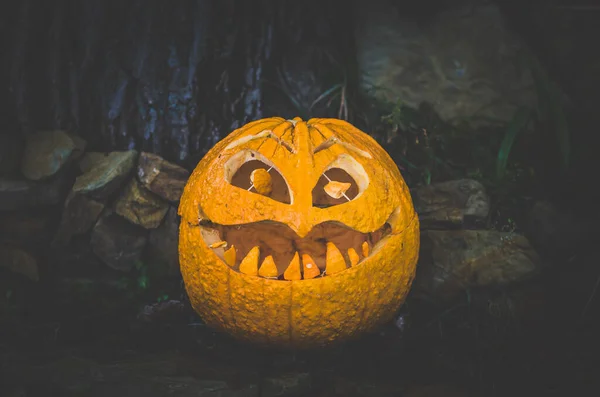 Citrouille Halloween Souriante Sculptée Sur Fond Noir — Photo