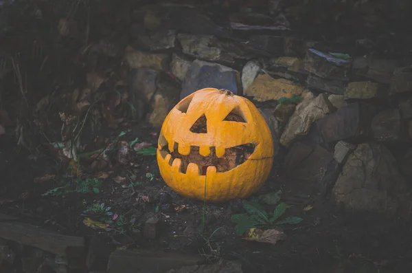 Snidade Skrämmande Halloween Pumpa Svart Bakgrund — Stockfoto