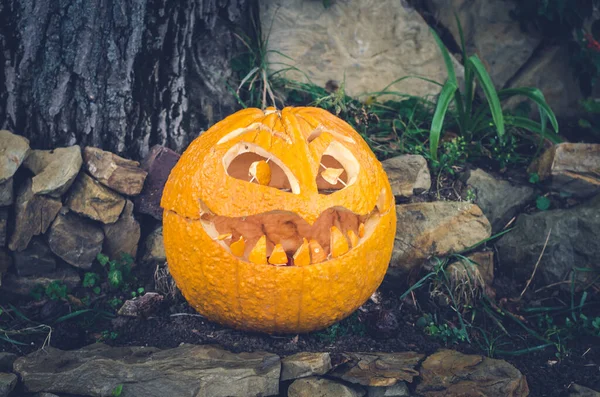 Snidade Leende Halloween Pumpa Stenig Bakgrund — Stockfoto
