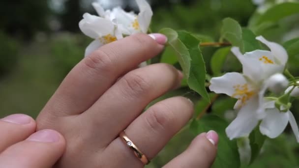 Mężczyzna Kobieta Ręka Złotymi Pierścieniami Ślubnych Kobieta Trzyma Rękę Kwiat — Wideo stockowe
