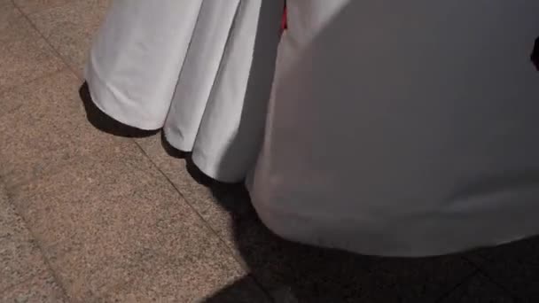 Kvinna Går Upp Stegen Vit Kjol Prydd Med Röda Blommor — Stockvideo