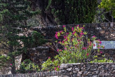 İspanya, Katalonya, Cadaqus 2019. Salvador Dali, Gala