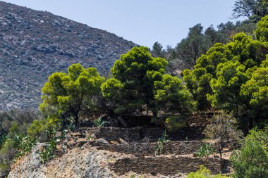 İspanya, Katalonya, Lligat Limanı,Cadaques yaz 2019