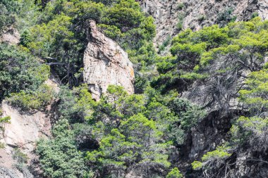 İspanya, Katalonya, Costa Brava 2019. Calella, Pineda, Santa Susanna, Malgrat de Mar, Blanes, Santa Cristina, Lloret de Mar, Tossa