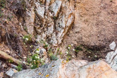 İspanya, Katalonya, Costa Brava 2019. Calella, Pineda, Santa Susanna, Malgrat de Mar, Blanes, Santa Cristina, Lloret de Mar, Tossa
