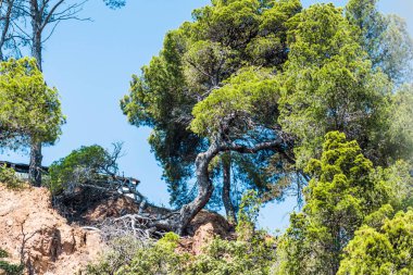 İspanya, Katalonya, Costa Brava 2019. Calella, Pineda, Santa Susanna, Malgrat de Mar, Blanes, Santa Cristina, Lloret de Mar, Tossa