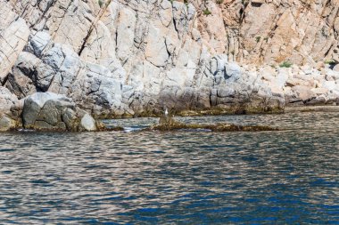 İspanya, Katalonya, Costa Brava 2019. Calella, Pineda, Santa Susanna, Malgrat de Mar, Blanes, Santa Cristina, Lloret de Mar, Tossa