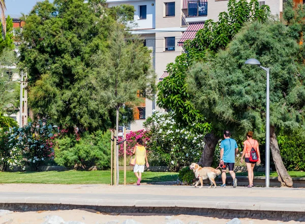 España Cataluña Costa Brava 2019 Calella Pineda Santa Susanna Malgrat —  Fotos de Stock