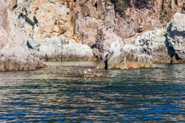 İspanya, Katalonya, Costa Brava 2019. Calella, Pineda, Santa Susanna, Malgrat de Mar, Blanes, Santa Cristina, Lloret de Mar, Tossa.