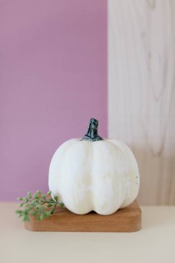 Küçük krem ve teal kabak ahşap bir tepsi ve kurutulmuş bitkiler ve okaliptüs yaprakları ile pembe arka plan. Yan görünüm