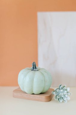 Katmanlı ahşap tepsi ve turuncu arka plan üzerinde teal ve krem küçük kabaklar. Yan görünüm.