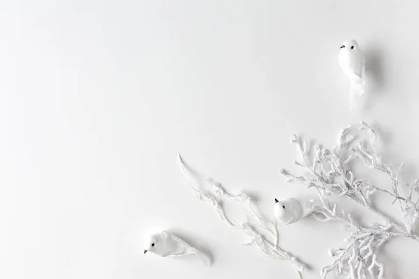 Wihte ptaki i gałęzie drzew pokrytych śniegiem na białym backgr — Zdjęcie stockowe