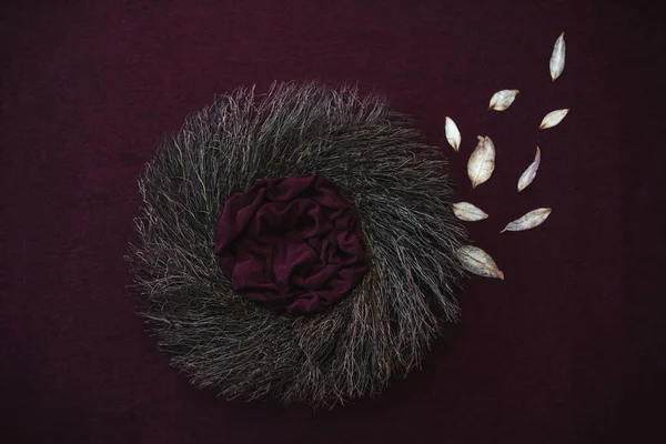 Newborn photography background for baby girl - natural nest on maroon background with birgindy layer and dry petals.