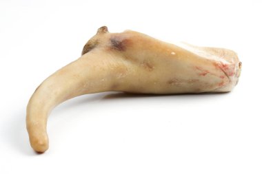 çiğ domuz kuyruğu beyaz zemin üzerine