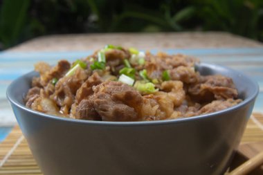 Kase pirinç ile sığır eti pişmiş / Japon yemek pişirme Gyudon kavramı