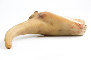 çiğ domuz kuyruğu beyaz zemin üzerine