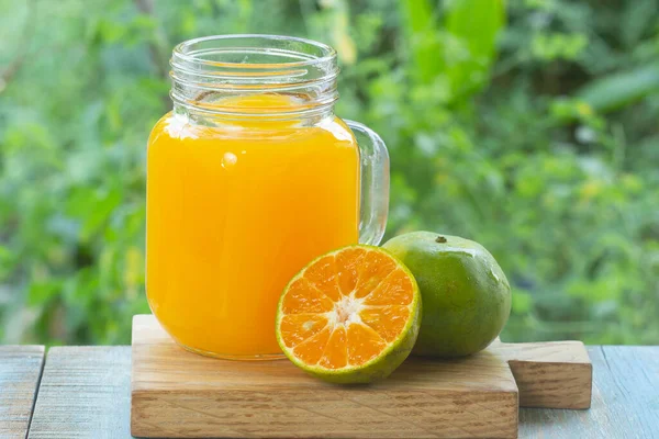 Склянка Свіжого Апельсинового Соку Садовому Фоні — стокове фото