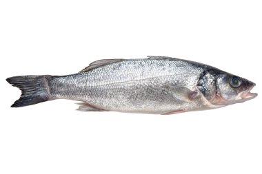 Beyaz arka planda izole edilmiş taze balık
