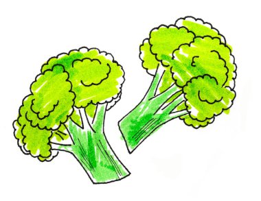 beyaz brokoli suluboya