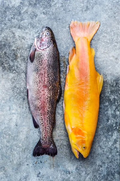 Frischer Fisch Auf Grauem Hintergrund — Stockfoto