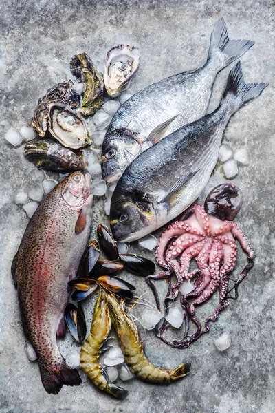 Vielfalt Meeresfrüchten Auf Grauem Hintergrund — Stockfoto