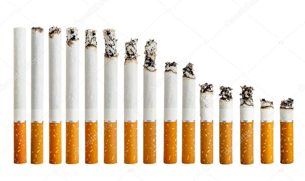 cigarettes in line isolated on white