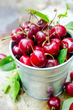yeşil yaprakları ile metalik kova kırmızı taze kiraz 